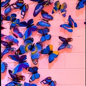 Meet your Posher, Isabella